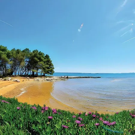 Tomislav For 12 Guests Near The וילה ויר